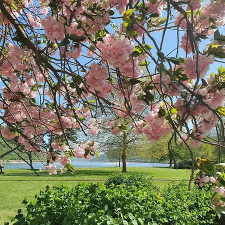 Rhein Und Stuebers Restaurant
