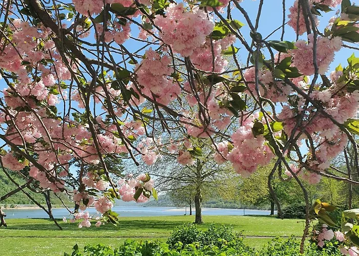 Rhein Und Stuebers Restaurant